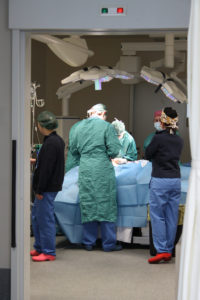 carotid cerebral bypass surgery rome hospitaly